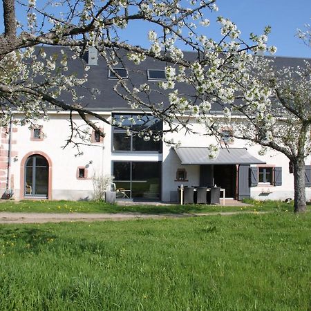 La Colline Du Baa - Maison D'Hotes D'Exception Lapoutroie Eksteriør billede