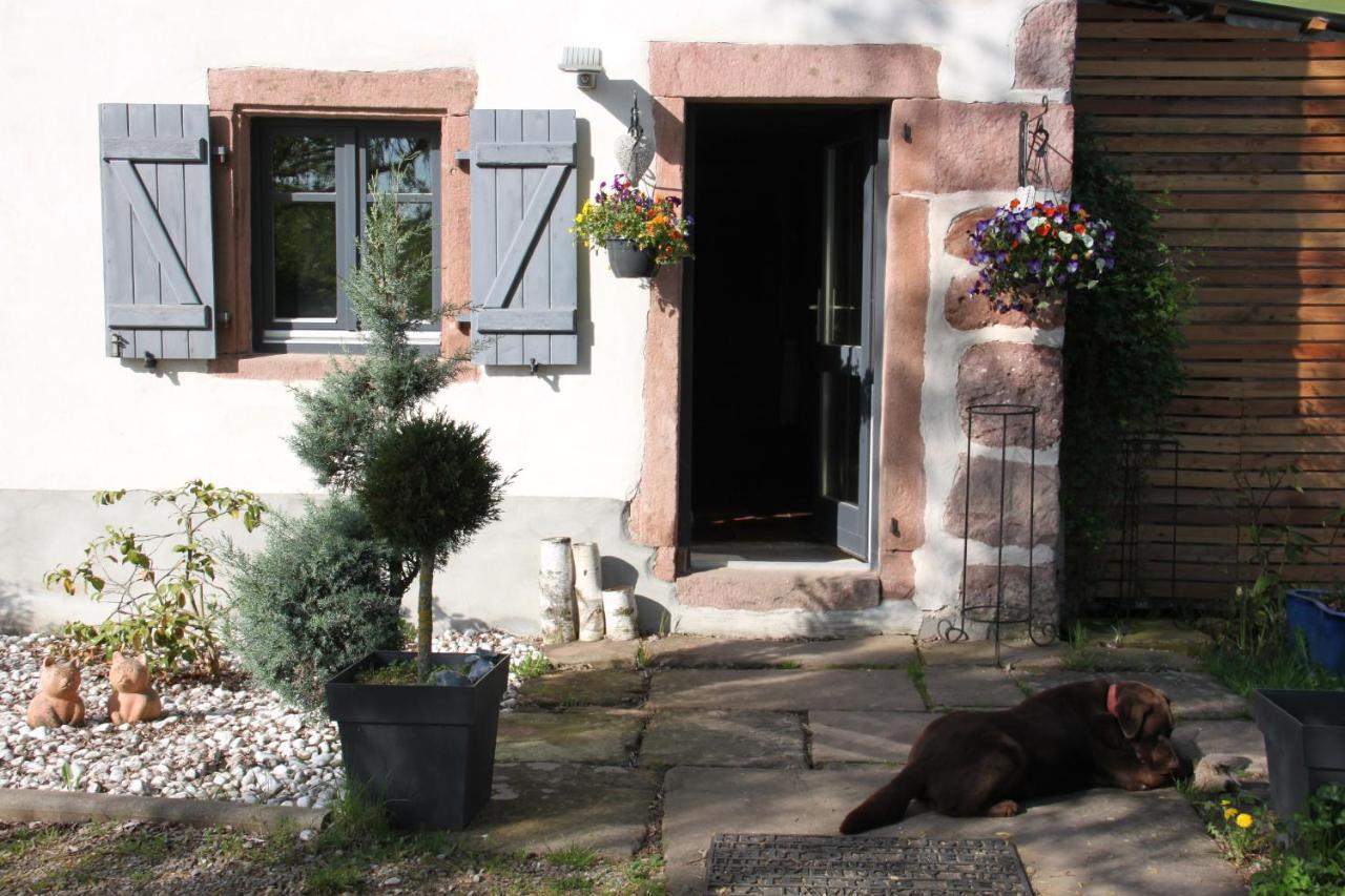 La Colline Du Baa - Maison D'Hotes D'Exception Lapoutroie Eksteriør billede